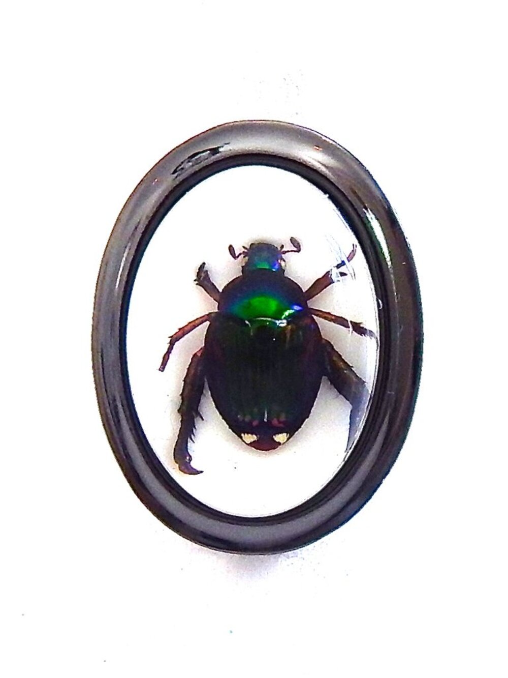 GASOLINE GLAMOUR COCKSCHAFER BEETLE MINI RING🪲🪲🪲
